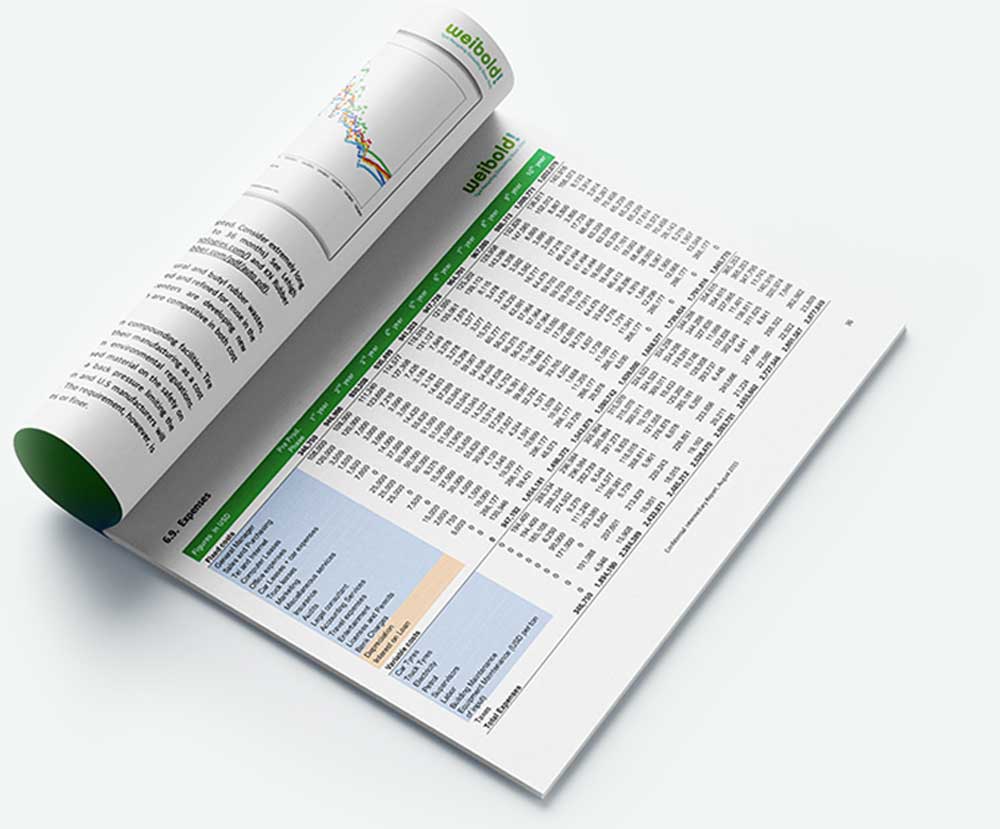 Feasibility Study for Pyrolysis Business