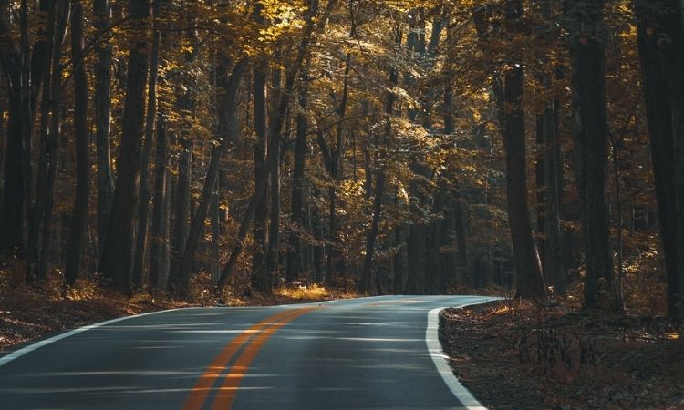 Queensland road project recycled 28,000 end-of-life tires into rubberized asphalt